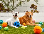 PlushSoccerBall_Set_1800x1400_02