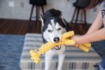 RopeToy_Giraffe_3Sizes_1800x1400_2e1c2bf9-3a81-4c9c-a76d-ee92351cd4ed