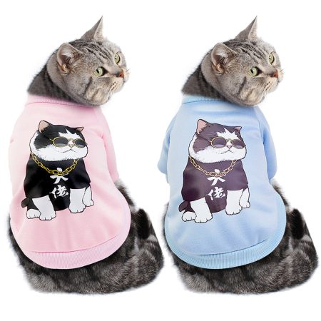Sıcak Kedi Giysileri